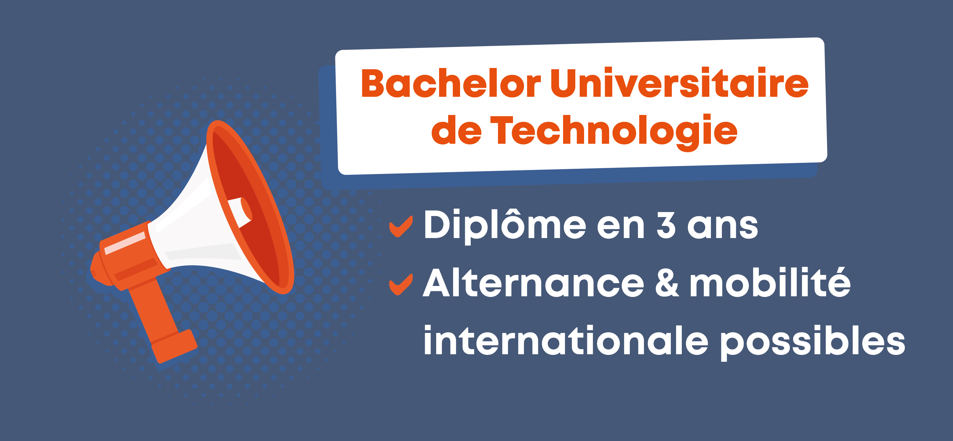 Bachelor Universitaire de Technologie IUT2