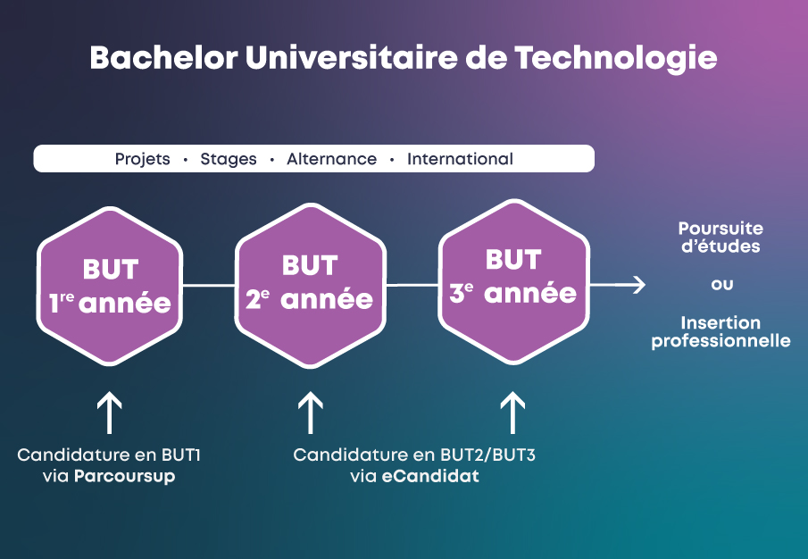 Bachelors Universitaires De Technologie - IUT2 - Institut Universitaire ...