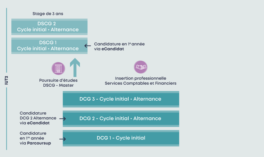 SCHEMA DCG