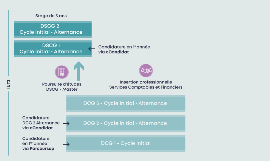 SCHEMA DSCG