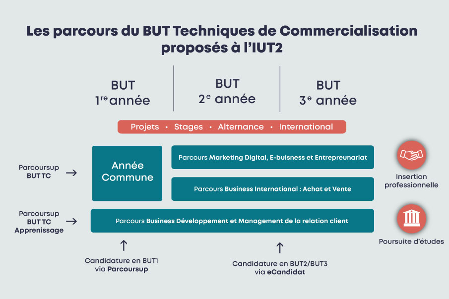 BUT Techniques de Commercialisation IUT2 Institut universitaire de technologie Université